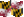 Maryland